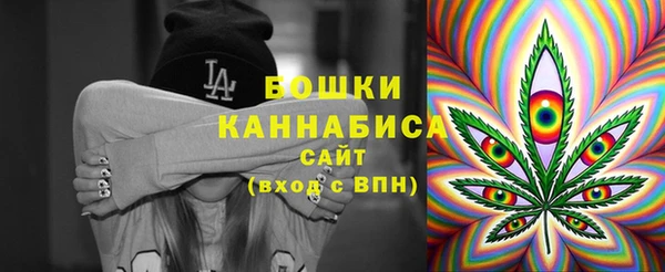 прущий лед Арсеньев
